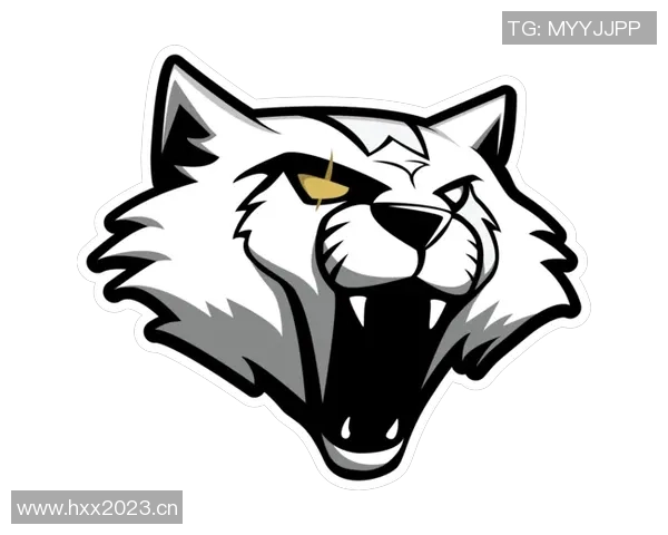 聚焦CSGO:分析WE战队近期状态与未来发展方向 聚焦CSGO:分析WE战队近期状态与未来发展方向